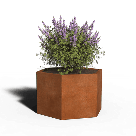 Zeshoekige plantenbakken