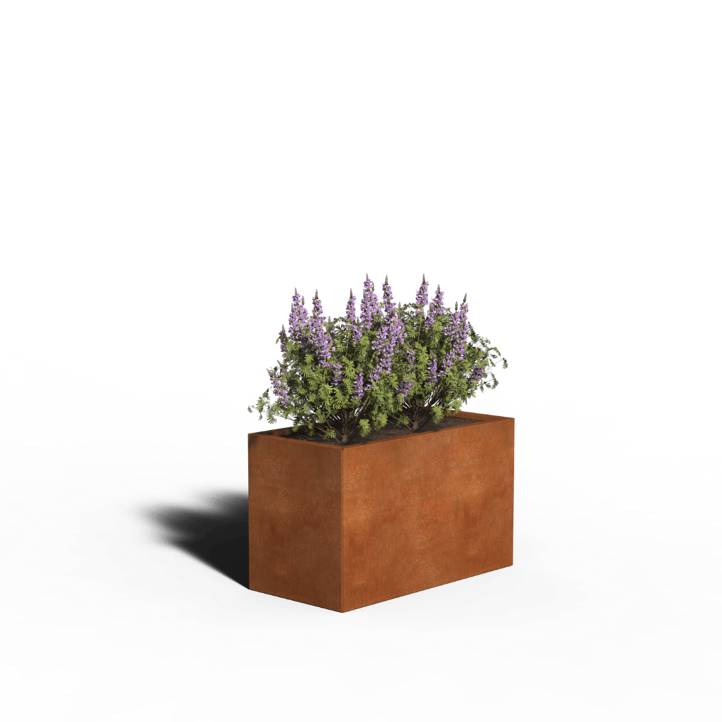 Corten-teräs Istutuslaatikko Suorakulmio | 100 x 50 x 60 | Ilman pohjaa