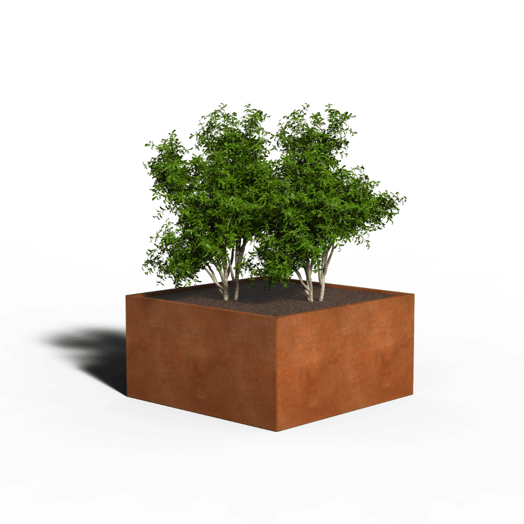 Cortenstaal Plantenbak Vierkant | 120 x 120 x 40 | Zonder bodem