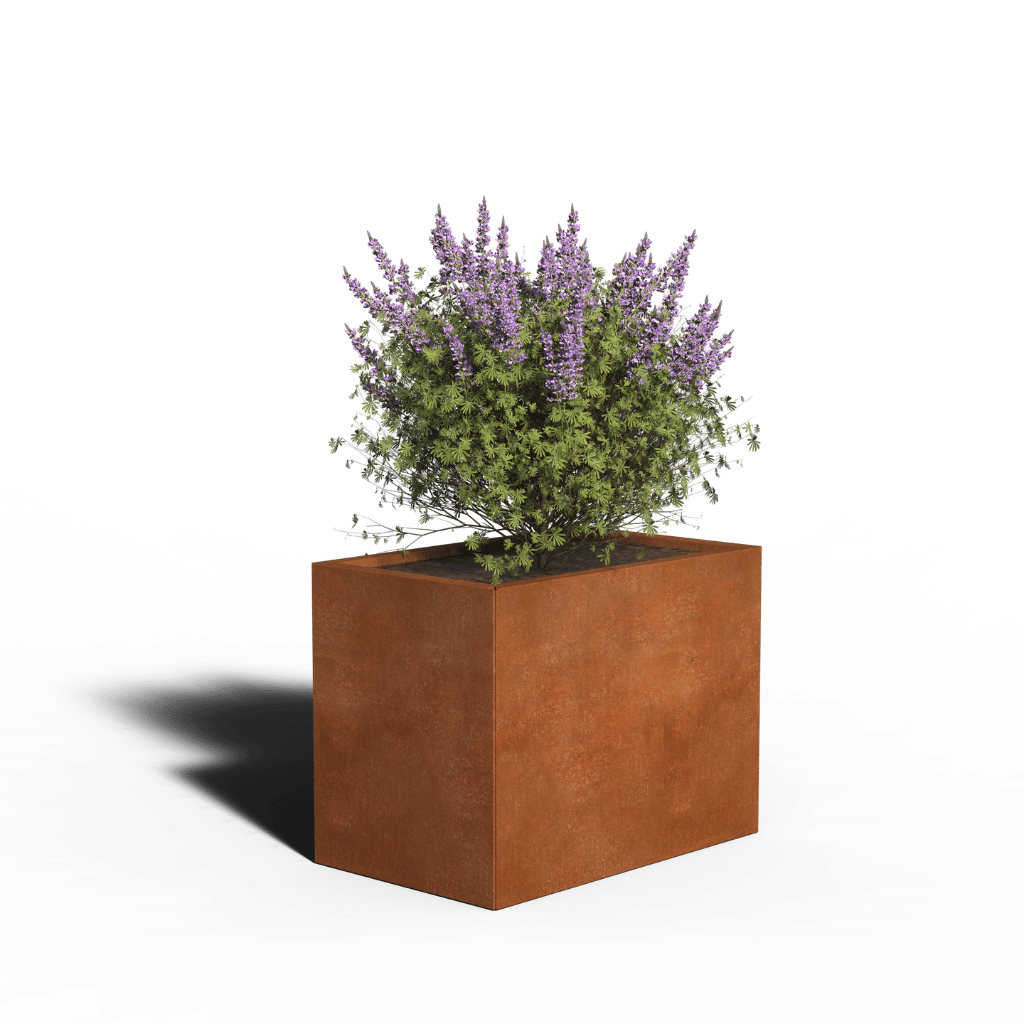 Corten-teräs Istutuslaatikko Suorakulmio | 80 x 50 x 30 | Pohjallinen