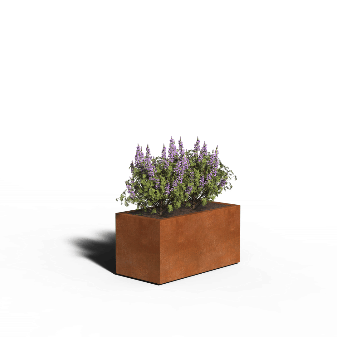Jardinière rectangulaire en acier corten | Soudé | 100 x 50 x 50 | Avec fond