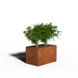 Cortenstaal Plantenbak Rechthoek | 100 x 60 x 80 | Met bodem