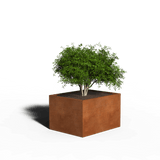 Cortenstaal Plantenbak Rechthoek | 100 x 80 x 40 | Zonder bodem