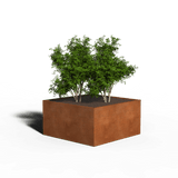 Corten-teräs Istutuslaatikko Neliö | 120 x 120 x 80 | Ilman pohjallista