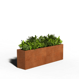 Cortenstaal Plantenbak Rechthoek | 200 x 40 x 30 | Met bodem