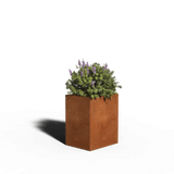 Cortenstål Plantekasse Rektangel | 50 x 40 x 40 | Med bund