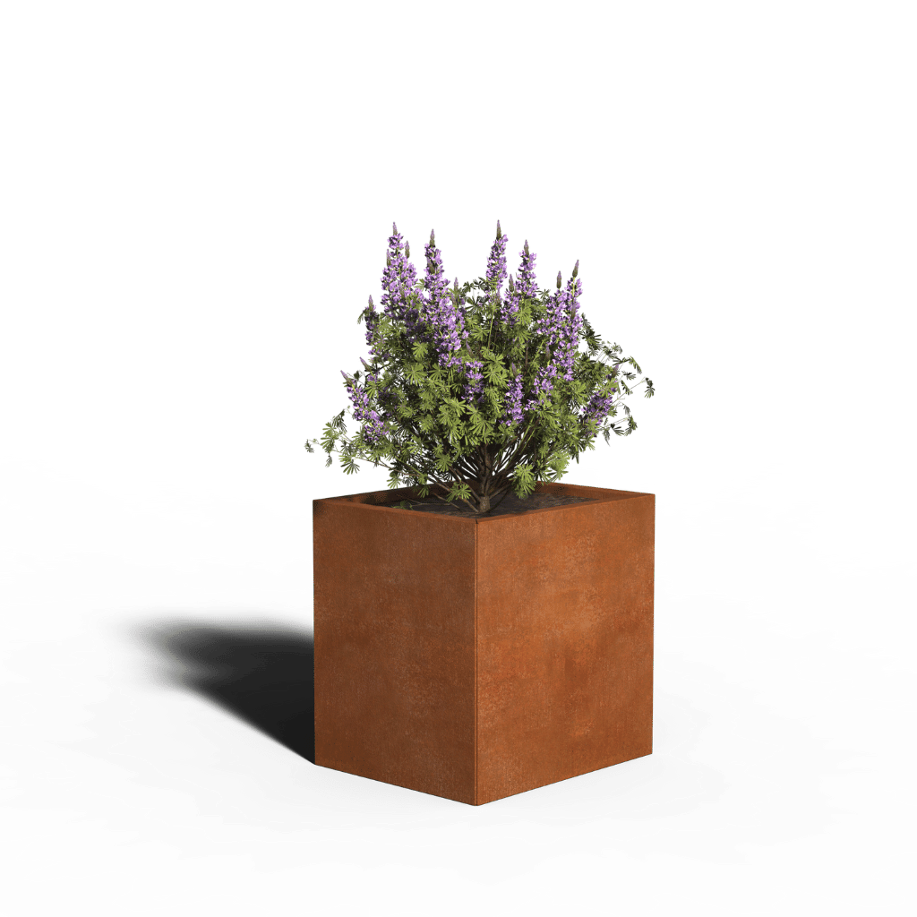 Oțel Corten Jardinieră Dreptunghi | 60 x 50 x 40 | Cu fund