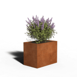 Cortenstaal Plantenbak Rechthoek | 80 x 50 x 60 | Zonder bodem