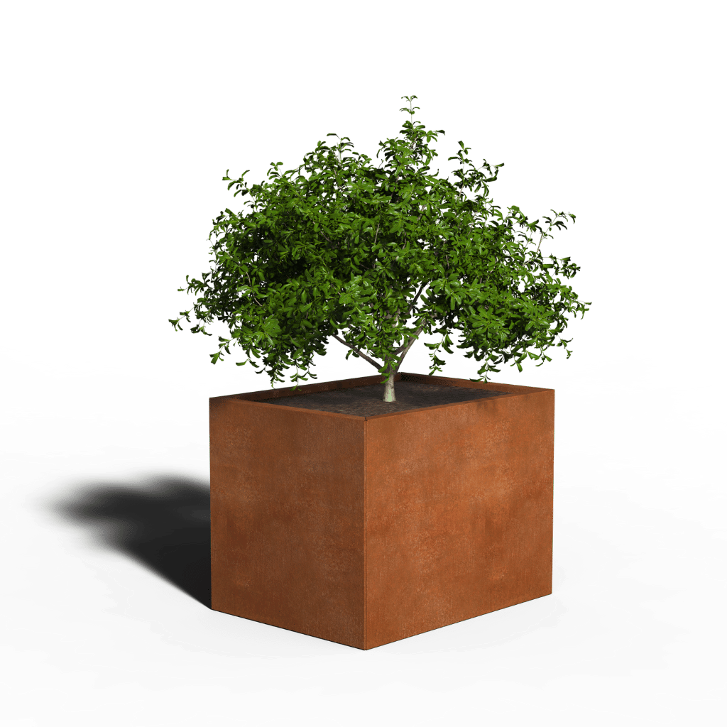 Corten Steel Planter Rectangle | 80 x 60 x 30 | Without bottom