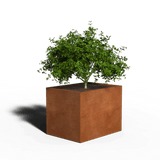 Corten-teräs Istutuslaatikko Suorakulmio | 80 x 60 x 30 | Ilman pohjaa