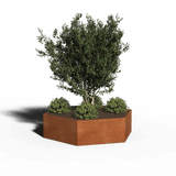 Fioriera in acciaio corten Esagono | 208 x 30 | Senza fondo