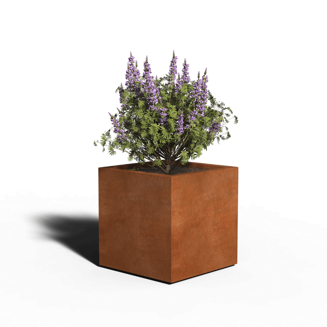 Corten-teräs Istutuslaatikko Neliö | Hitsattu | 60 x 60 x 60 | Ilman pohjallista