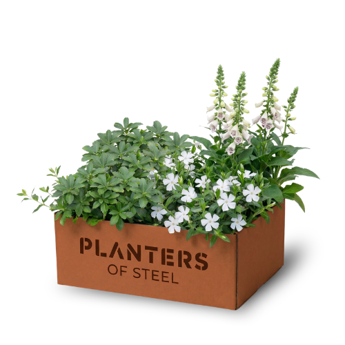 Borderpakket Luca 1–3 m²