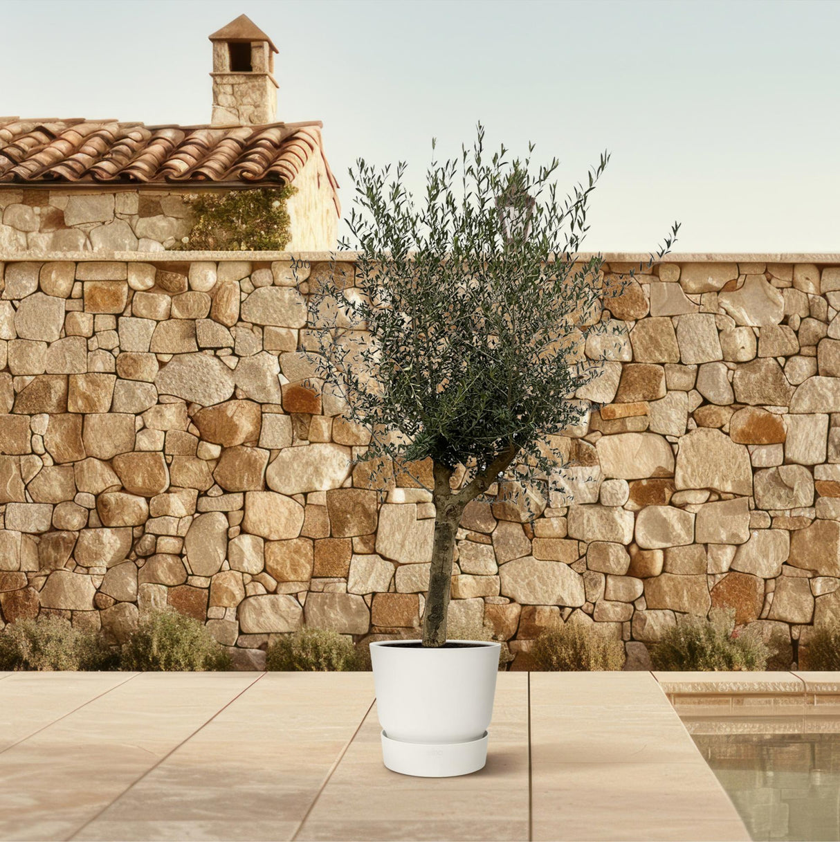 Olea Lorc - 200 cm - Ø45