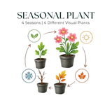 12x Digitalis Purpurea - 10-25 cm - Ø9