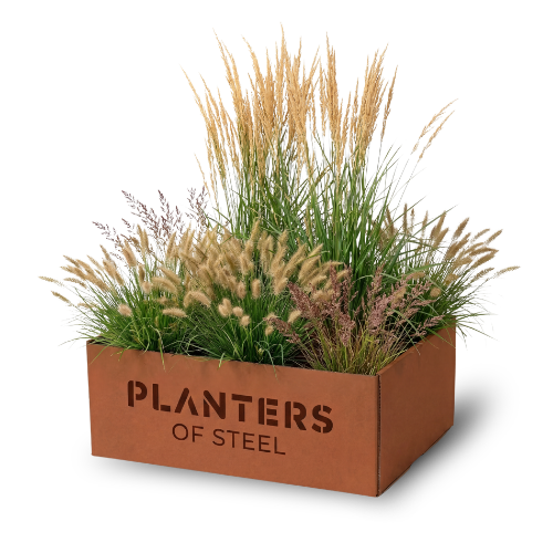 Borderpakket Wuivende Prairie 3–7 m²