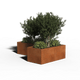 L-Shaped
