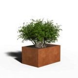 Rectangular planter corten steel