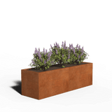 Corten Steel Planter Rectangular | 200 x 60 x 30 | Without bottom