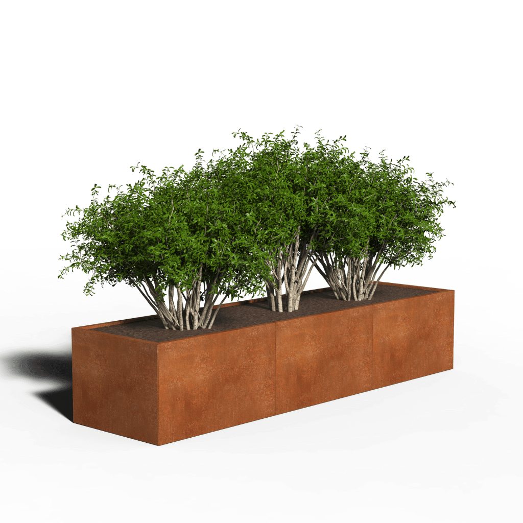 Corten Steel Planter Rectangular | 300 x 80 x 60 | With bottom