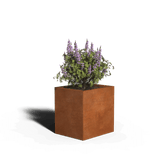Square planter corten steel