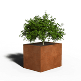 Corten Steel Planter Rectangular | 80 x 60 x 60 | With bottom