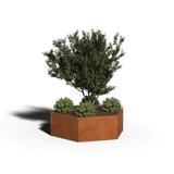 Hexagonal planter corten steel