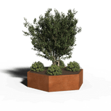 Hexagonal planter corten steel