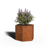 Hexagonal planter corten steel