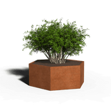 Hexagonal planter corten steel