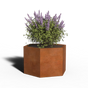 Corten steel Planter Hexagon