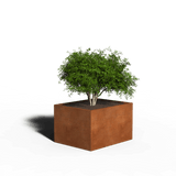 Jardinera rectangular de acero cortén | 100 x 80 x 60 | Con fondo