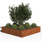 Square jardinera acero corten