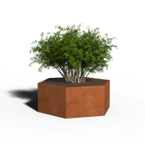 Jardinera de acero corten hexagonal | 139 x 80