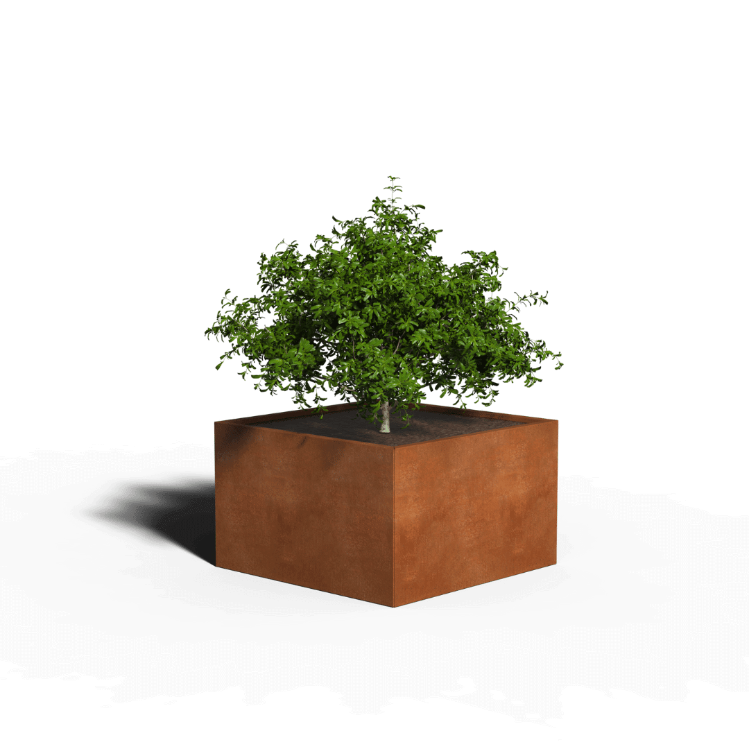 Corten teräksen neliön istutin
