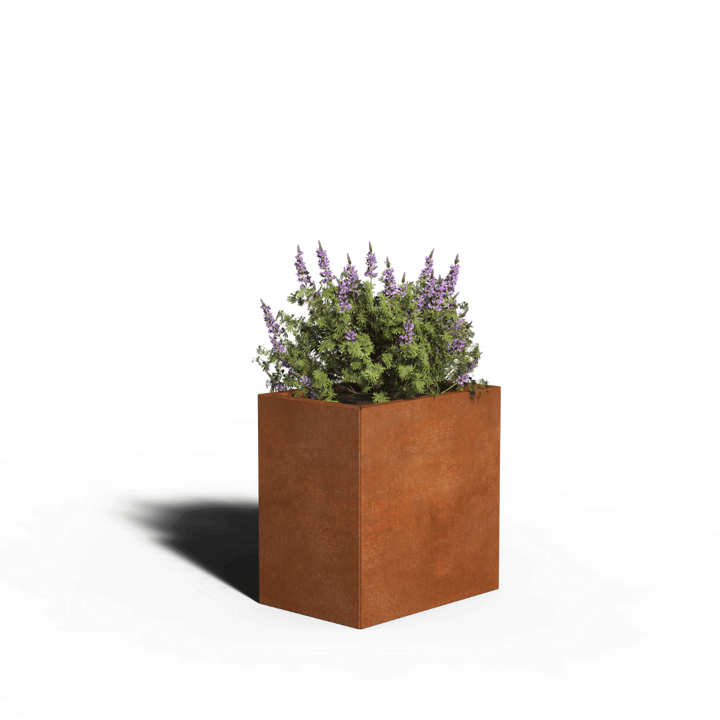 Corten teräksen neliön istutin