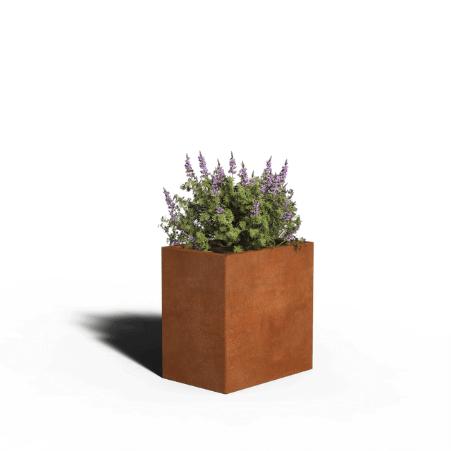 Corten teräksen neliön istutin
