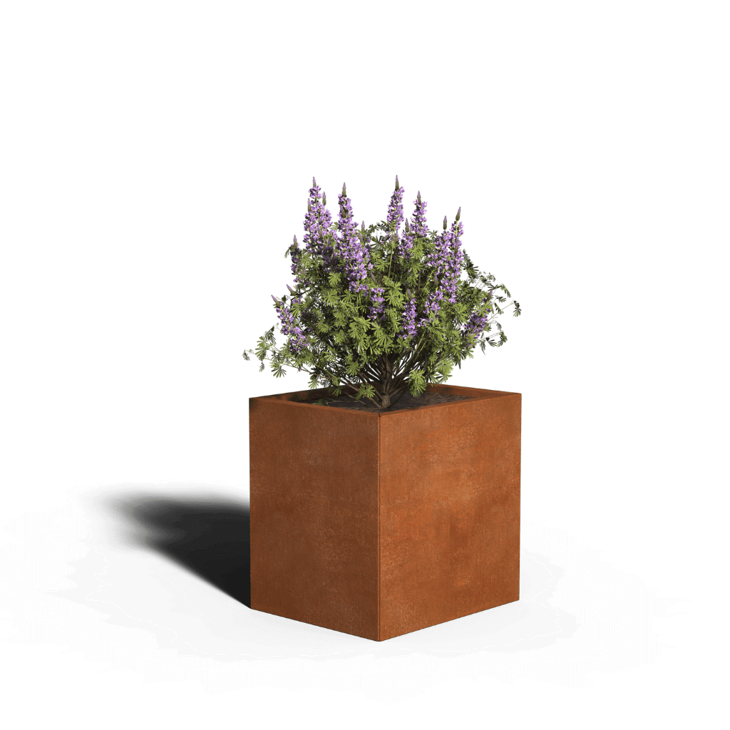 Corten teräksen neliön istutin