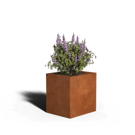 Corten teräksen neliön istutin