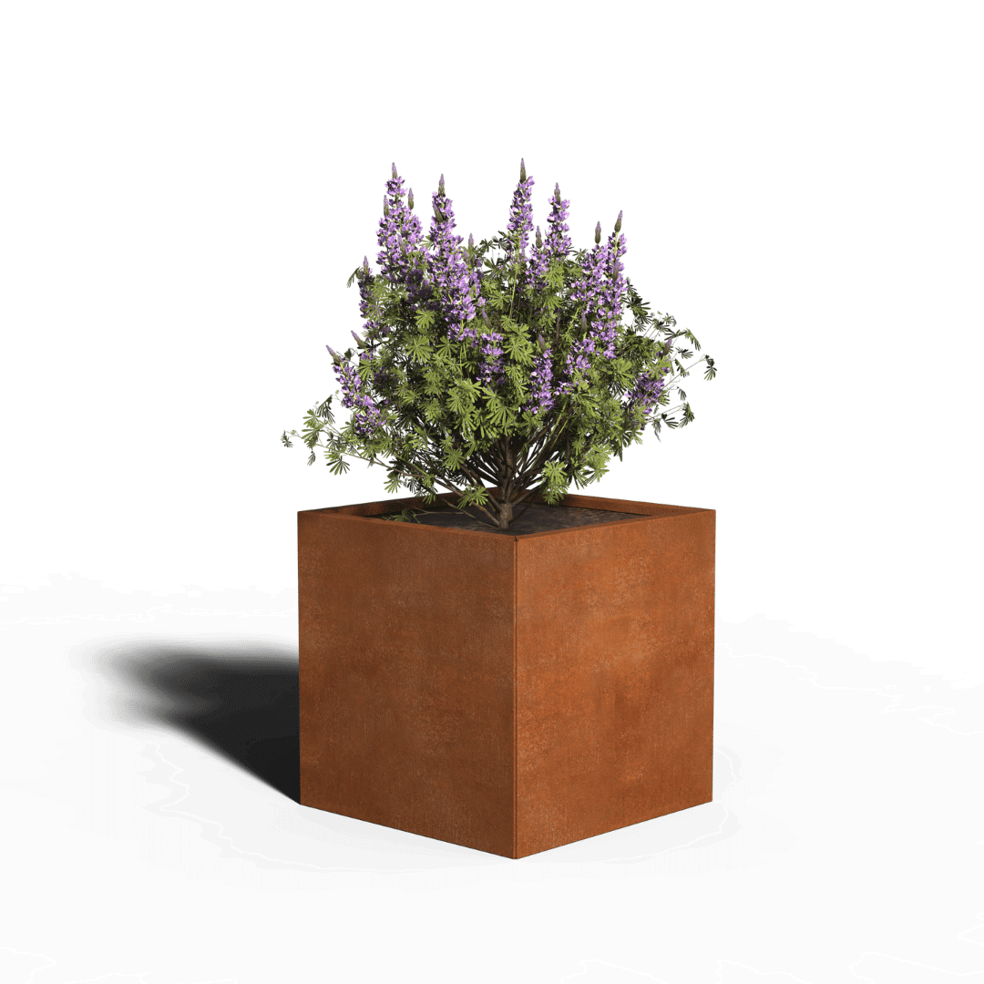 Corten teräksen neliön istutin