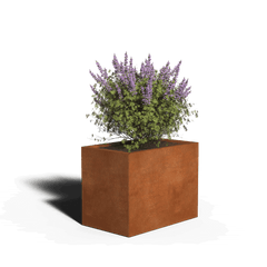 Corten teräksen neliön istutin