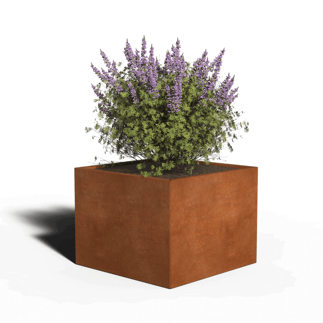 Corten teräksen neliön istutin