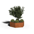 Zeshoekige plantenbak cortenstaal