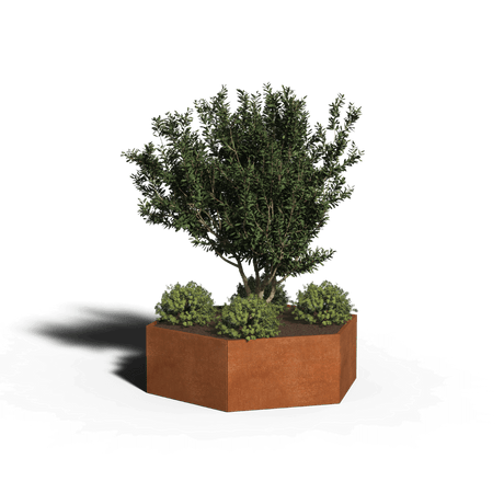 Zeshoekige plantenbak cortenstaal