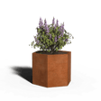 Zeshoekige plantenbak cortenstaal