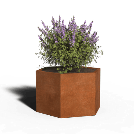Zeshoekige plantenbak cortenstaal