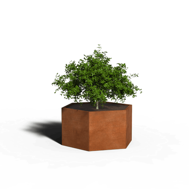 Zeshoekige plantenbak cortenstaal