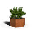 Zeshoekige plantenbak cortenstaal