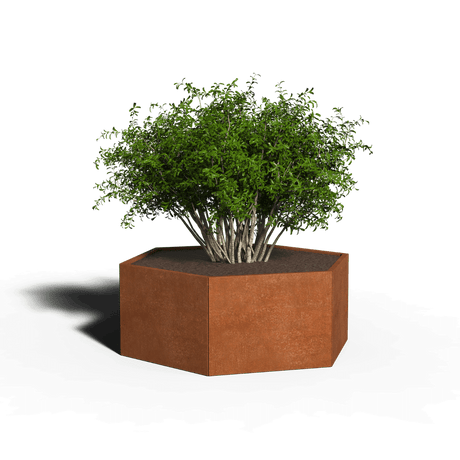 Zeshoekige plantenbak cortenstaal