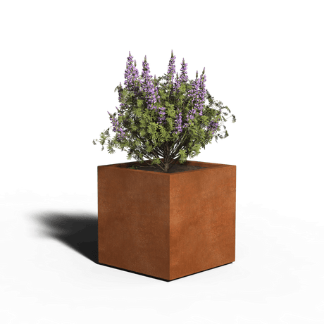 Cortenstaal Plantenbak Vierkant | Gelast | 60 x 60 x 60